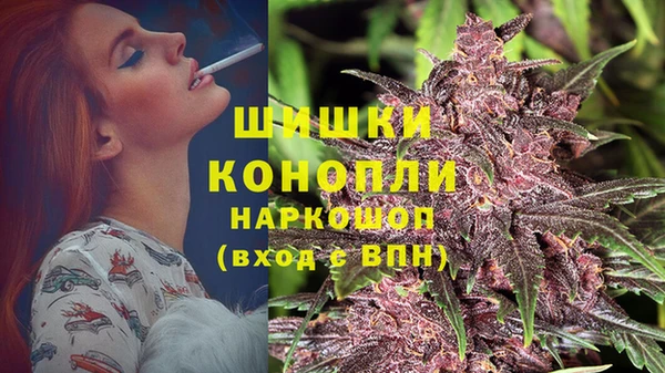 винт Арсеньев