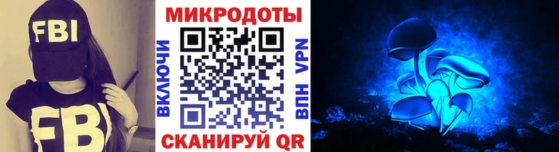 Псилоцибиновые грибы ЛСД Тайшет