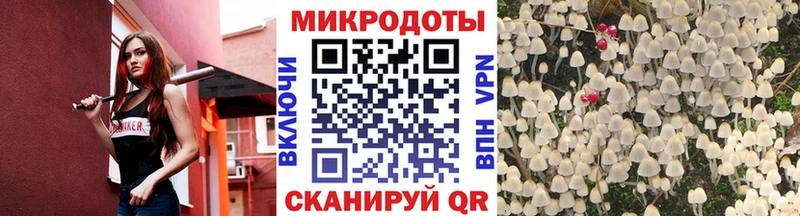 Псилоцибиновые грибы GOLDEN TEACHER  Тайшет 